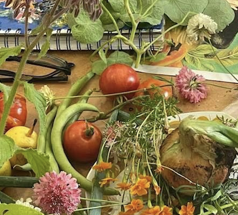 Hidden Beach: Grow Project