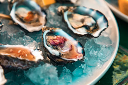 Seafood, Wine & Music Festival 2026