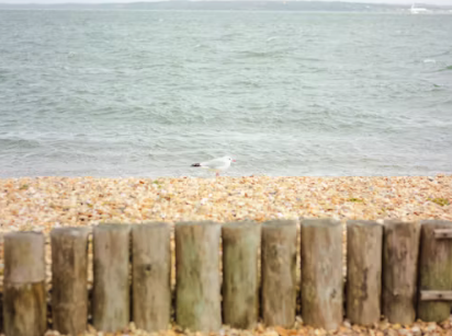 Edge: Where the Land Meets the Sea