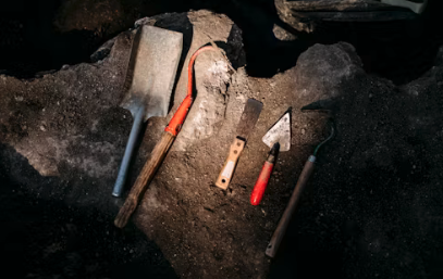 HASTINGS OLD TOWN CARNIVAL: Archaeology Open Day