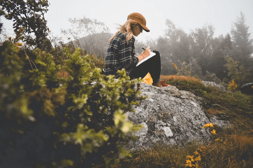 Developing Your Craft Writers Workshops