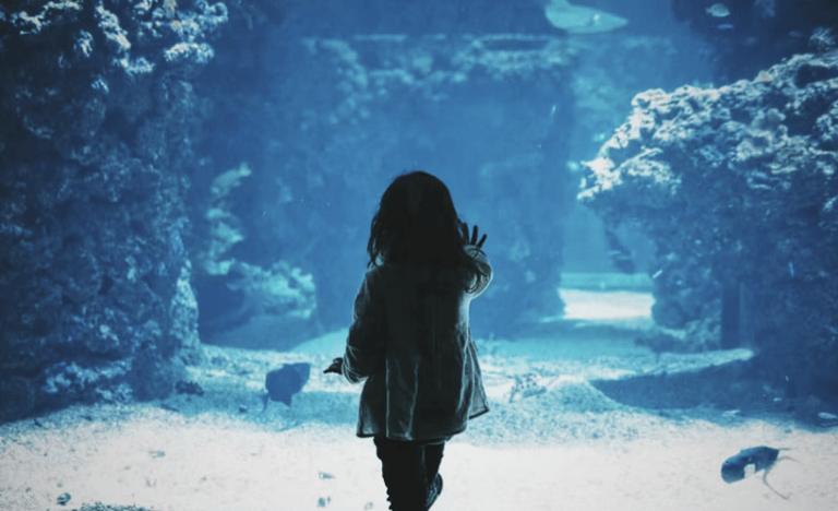 Keepers of the Kelp