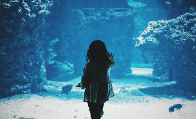 Keepers of the Kelp