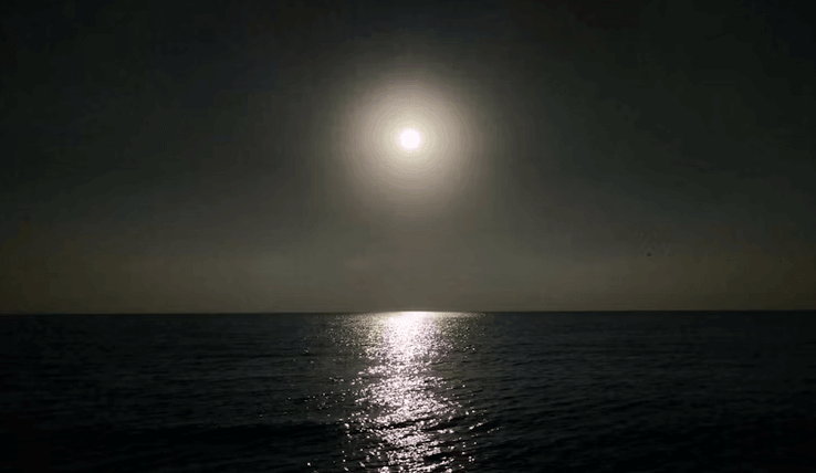 Moonlight Walk 2026
