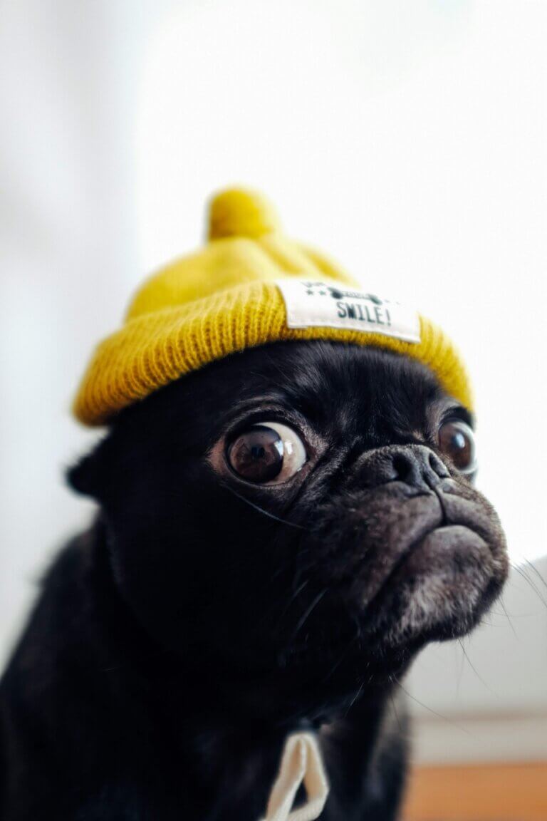 toshi K5pLGYJMHKk unsplash 2 768x1152